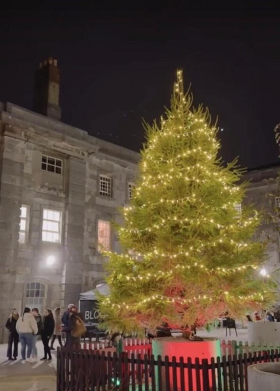 Royal William Yard Luxury Apartments At "The Bruce" Плимът Екстериор снимка